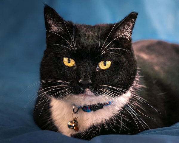 What are the latest developments in international relations?